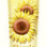 Tartex luomu kasvistahna classic 200g