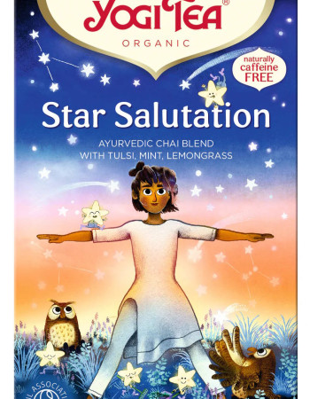 Yogi Tea Luomu StarSalut 17pss