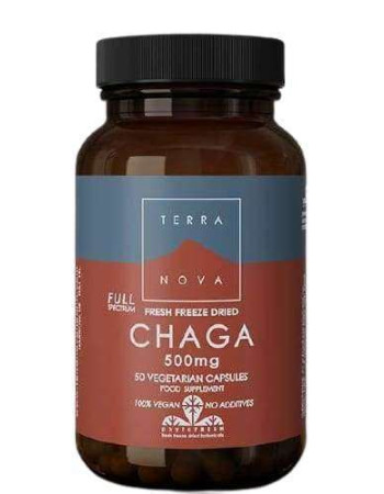 terra nova Chaga 500 mg Full Spectrum luomu