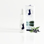 CBD ARCTIC 10% CBD Mustaherukansiemenöljy