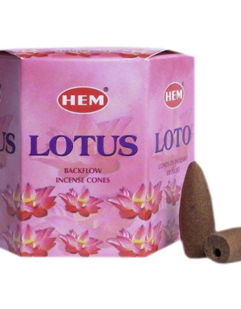 Hem Lotus ' Backflow' kartiosuitsukkeet 40kpl